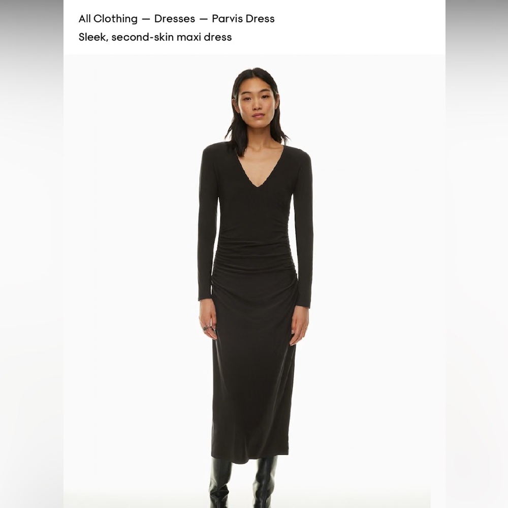 Wilfred Aritzia Parvis Dress
